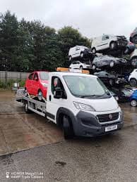 Auction Collection